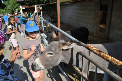 FerienSpass in Stein am Rhein