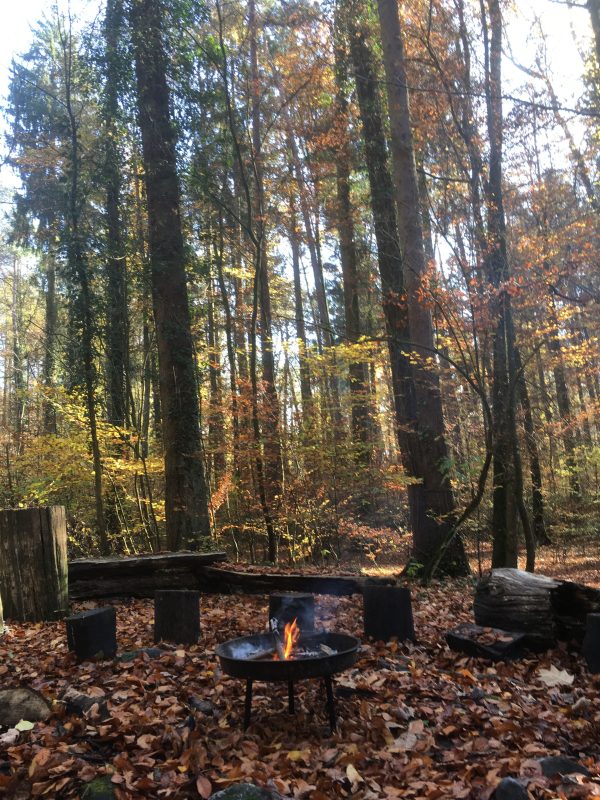 Waldspielgruppe Waldzwerge